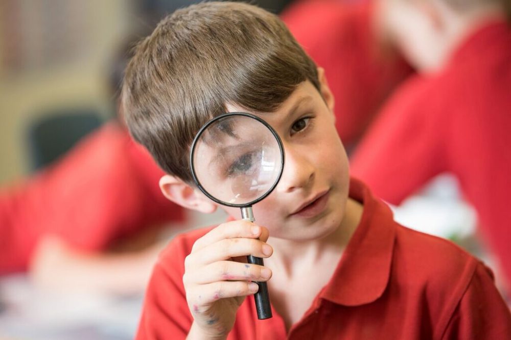 Elmore Primary School investigates the condition of their local waterway using bugs