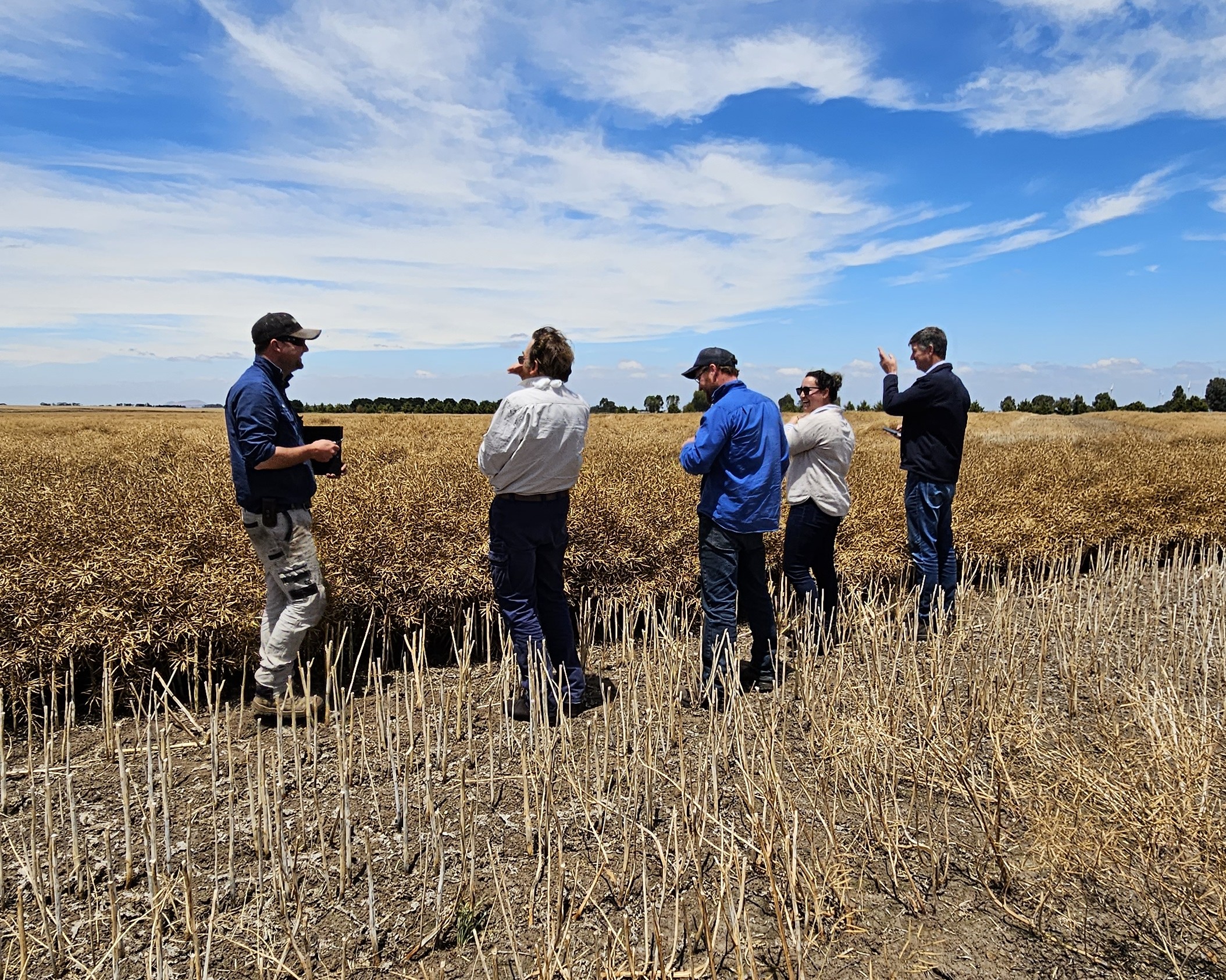 Platycam project installation, Glenelg Hopkins CMA.